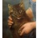 Pastel sobre papel Retrato niña con un gato escuela francesa Siglo XIX