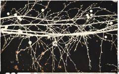 Jorge Omeñaca: "Pollock tree II"